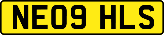 NE09HLS