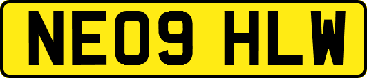 NE09HLW