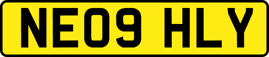 NE09HLY