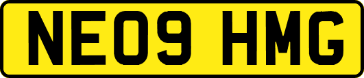NE09HMG