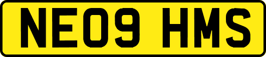 NE09HMS