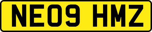 NE09HMZ
