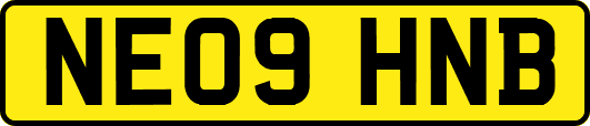 NE09HNB