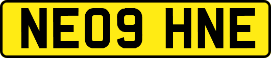 NE09HNE