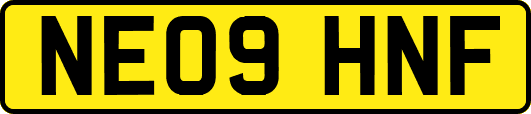 NE09HNF