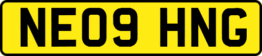 NE09HNG