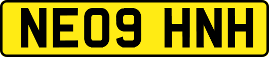 NE09HNH