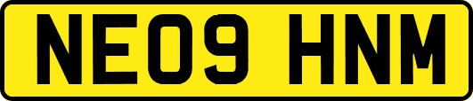 NE09HNM