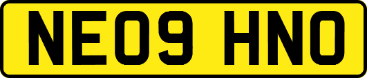 NE09HNO