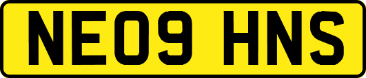 NE09HNS