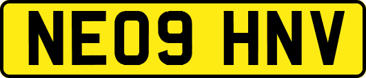 NE09HNV