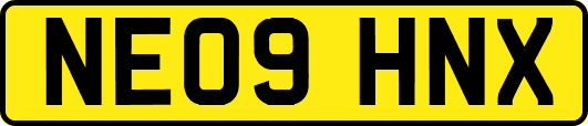 NE09HNX