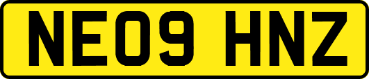 NE09HNZ