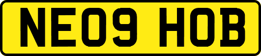 NE09HOB