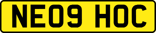 NE09HOC
