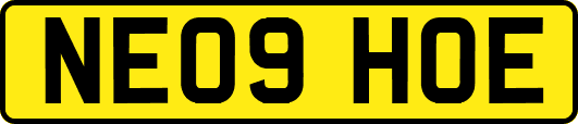 NE09HOE