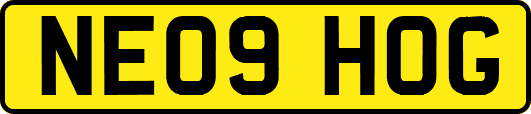 NE09HOG