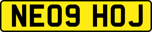 NE09HOJ