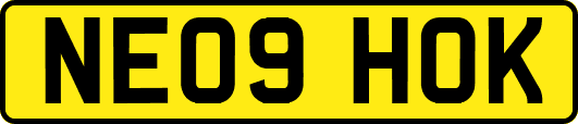 NE09HOK