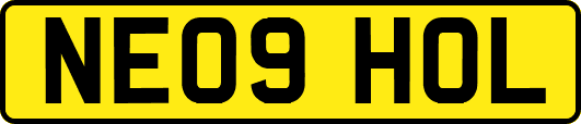 NE09HOL