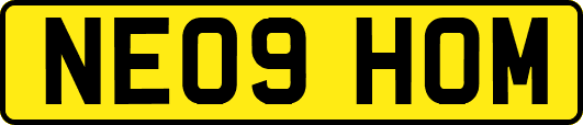 NE09HOM