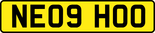 NE09HOO