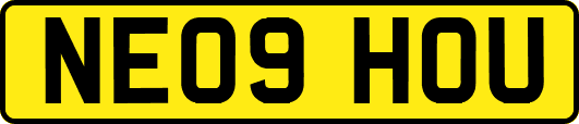 NE09HOU