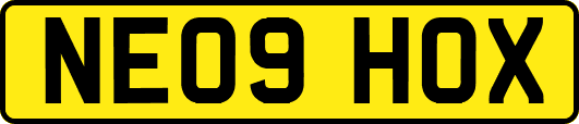 NE09HOX