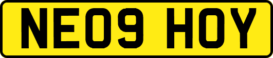 NE09HOY