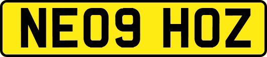 NE09HOZ