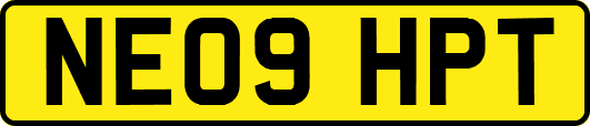 NE09HPT