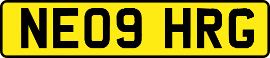 NE09HRG