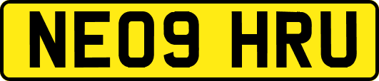 NE09HRU