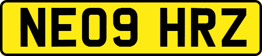 NE09HRZ