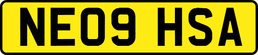 NE09HSA