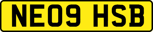 NE09HSB