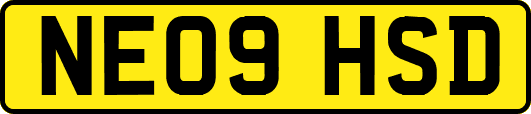 NE09HSD