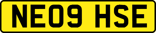 NE09HSE