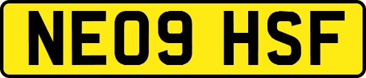 NE09HSF
