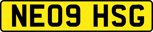 NE09HSG