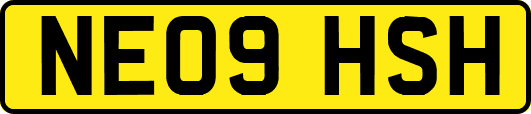 NE09HSH