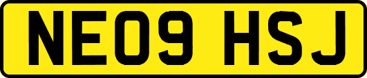 NE09HSJ