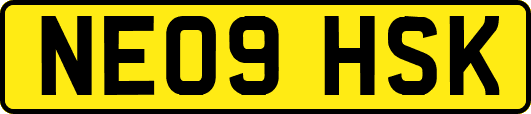 NE09HSK