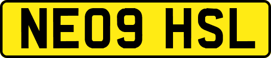 NE09HSL