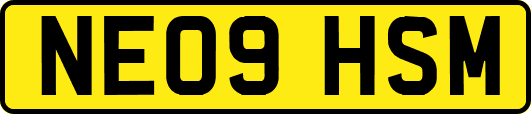 NE09HSM