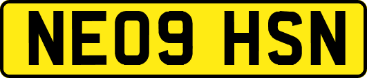 NE09HSN