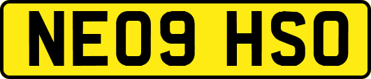 NE09HSO