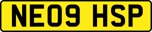 NE09HSP