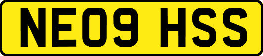 NE09HSS