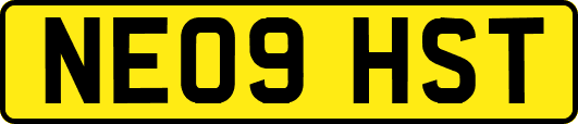 NE09HST